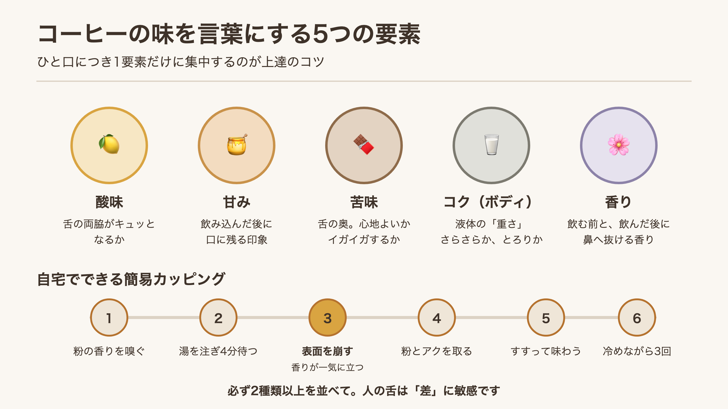 コーヒーの味を構成する5つの要素と、自宅でできるカッピング6手順の図